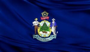 Maine State Flag Panel