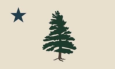 Maine 1901 State Flag "Lone Pine" - 3 ft x 5 ft