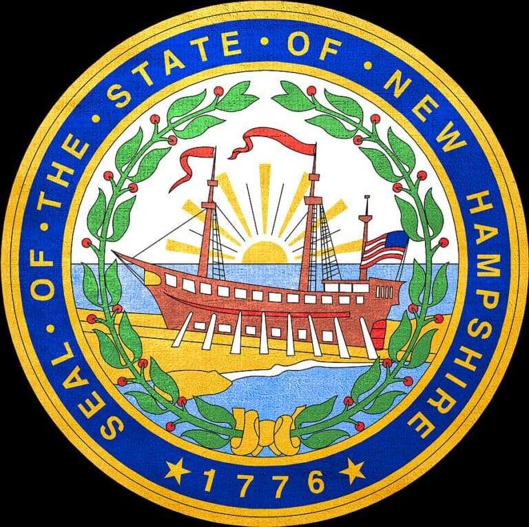 Flag History of New Hampshire | Flags for Patriots