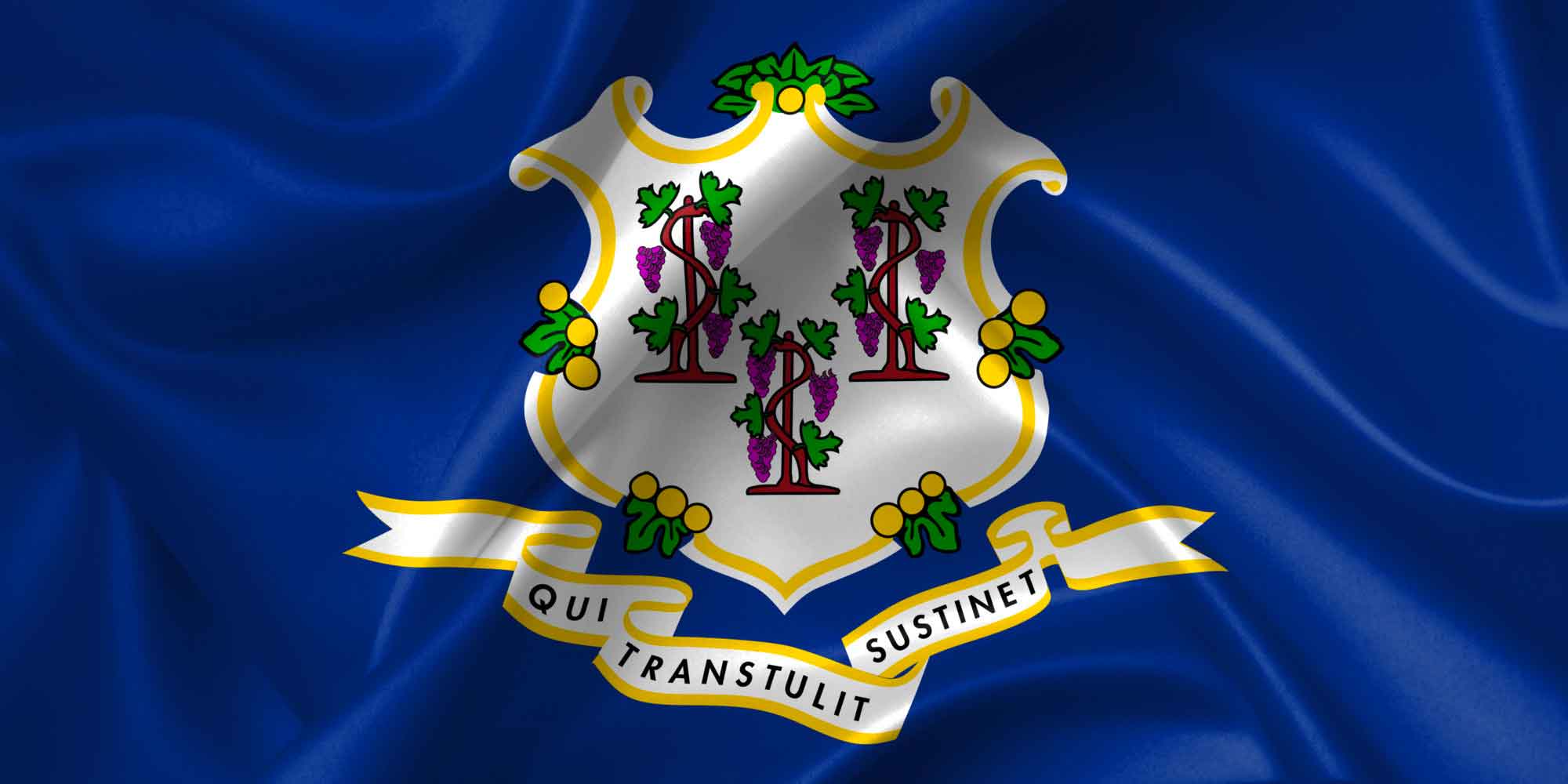 The official flag of the State of Connecticut