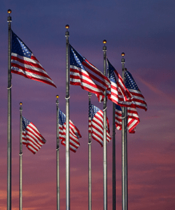 American Flags Display