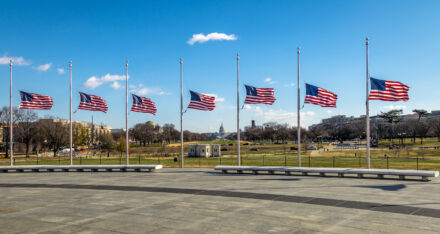 Flags flying at half-staff