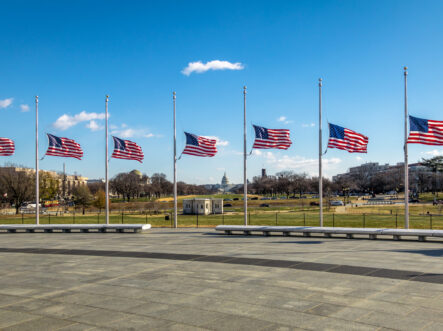 Flags flying at half-staff