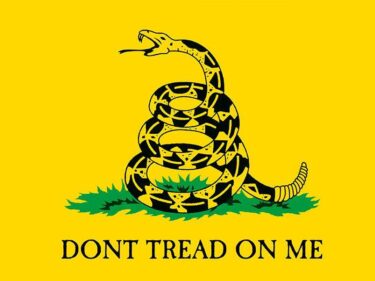 The traditional Gadsden Flag design - Don't Tread on Me