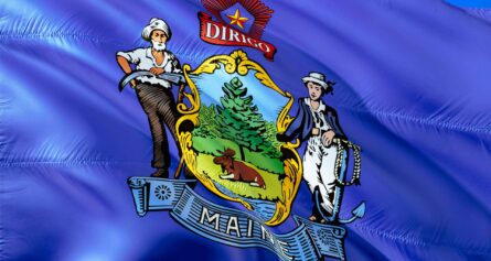 maine state flag made by nylon